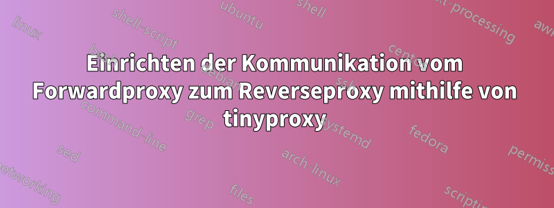 Einrichten der Kommunikation vom Forwardproxy zum Reverseproxy mithilfe von tinyproxy