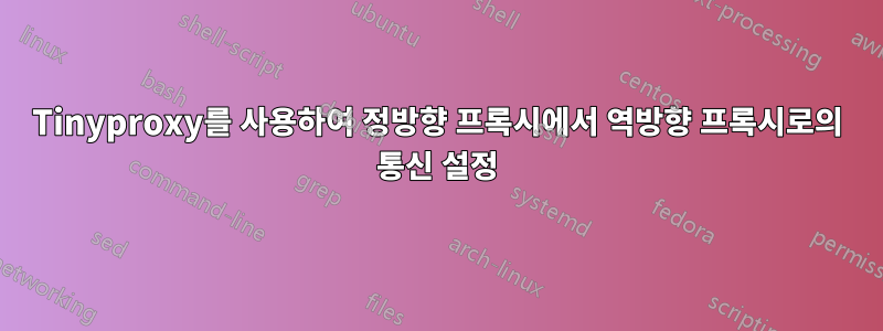 Tinyproxy를 사용하여 정방향 프록시에서 역방향 프록시로의 통신 설정