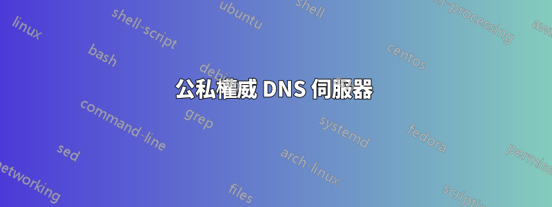 公私權威 DNS 伺服器