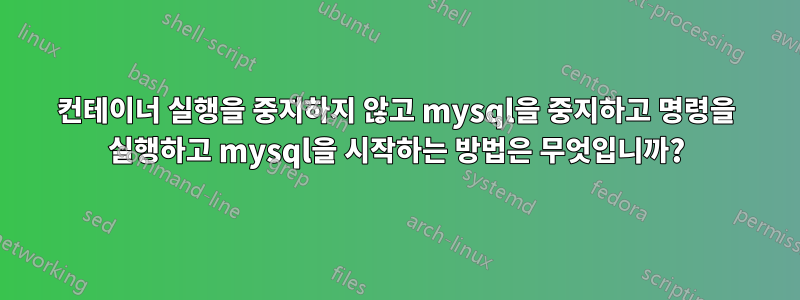 컨테이너 실행을 중지하지 않고 mysql을 중지하고 명령을 실행하고 mysql을 시작하는 방법은 무엇입니까?