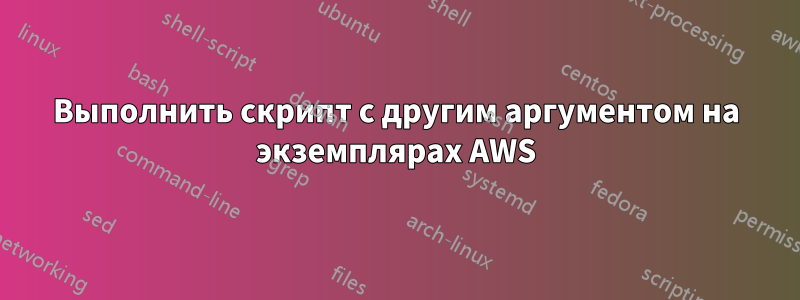 Выполнить скрипт с другим аргументом на экземплярах AWS