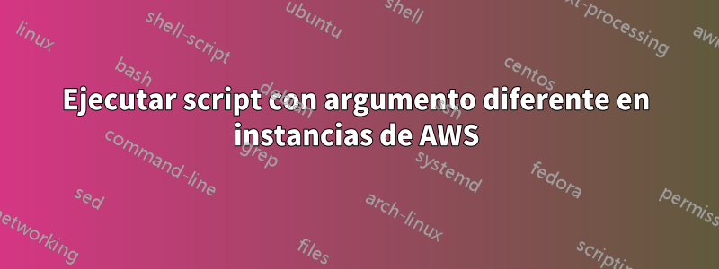 Ejecutar script con argumento diferente en instancias de AWS