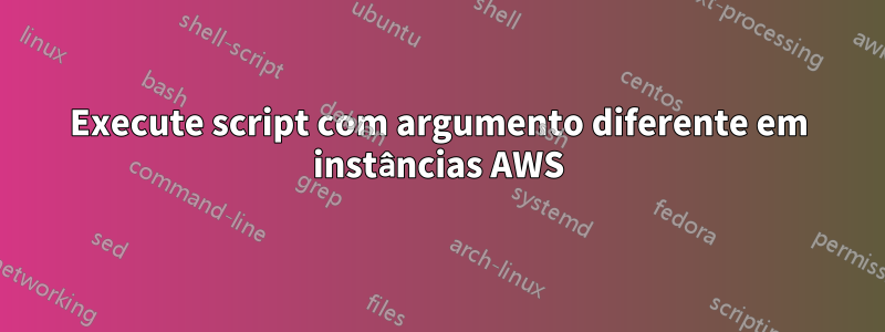 Execute script com argumento diferente em instâncias AWS