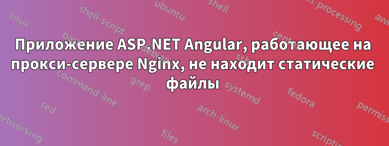 Приложение ASP.NET Angular, работающее на прокси-сервере Nginx, не находит статические файлы