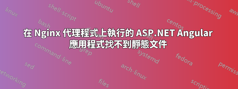 在 Nginx 代理程式上執行的 ASP.NET Angular 應用程式找不到靜態文件