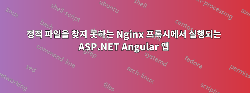 정적 파일을 찾지 못하는 Nginx 프록시에서 실행되는 ASP.NET Angular 앱