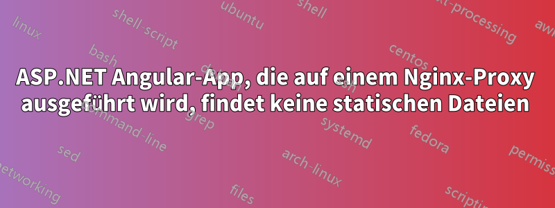 ASP.NET Angular-App, die auf einem Nginx-Proxy ausgeführt wird, findet keine statischen Dateien
