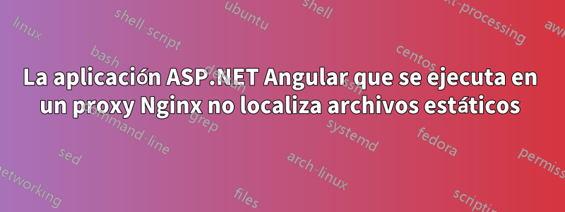 La aplicación ASP.NET Angular que se ejecuta en un proxy Nginx no localiza archivos estáticos