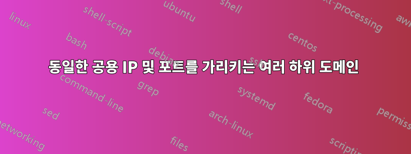 동일한 공용 IP 및 포트를 가리키는 여러 하위 도메인