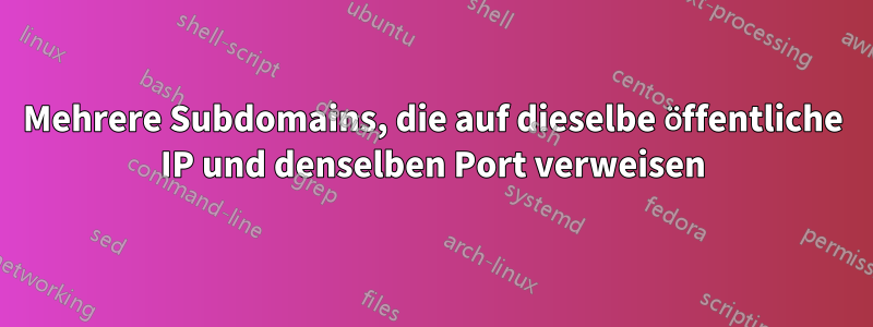 Mehrere Subdomains, die auf dieselbe öffentliche IP und denselben Port verweisen