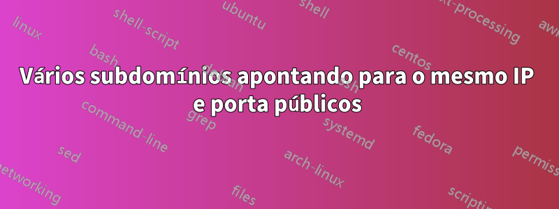 Vários subdomínios apontando para o mesmo IP e porta públicos