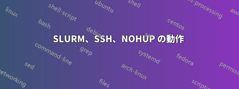 SLURM、SSH、NOHUP の動作