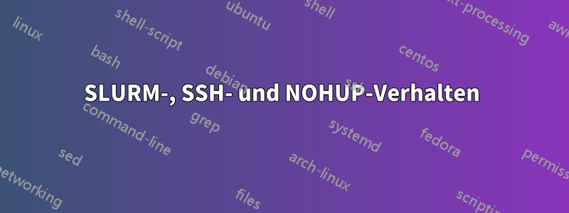 SLURM-, SSH- und NOHUP-Verhalten