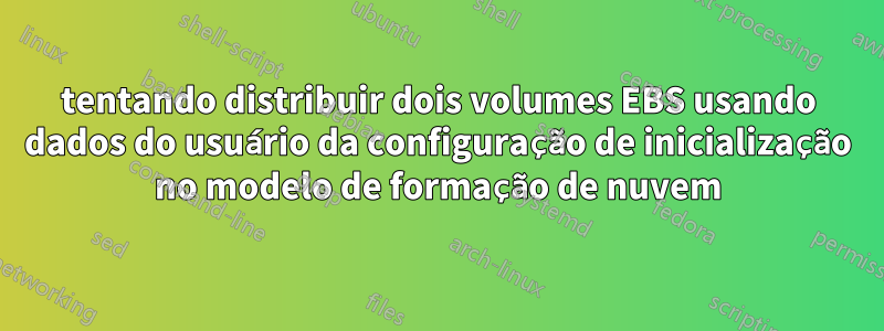 tentando distribuir dois volumes EBS usando dados do usuário da configuração de inicialização no modelo de formação de nuvem