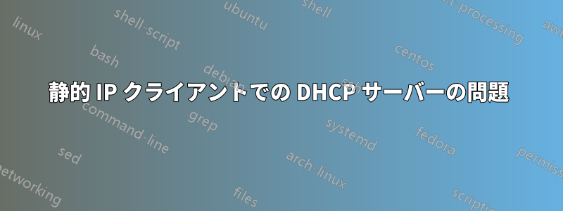 静的 IP クライアントでの DHCP サーバーの問題