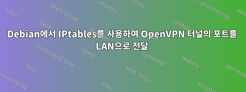 Debian에서 IPtables를 사용하여 OpenVPN 터널의 포트를 LAN으로 전달