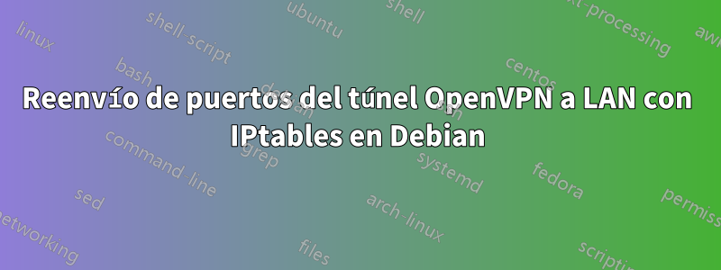 Reenvío de puertos del túnel OpenVPN a LAN con IPtables en Debian