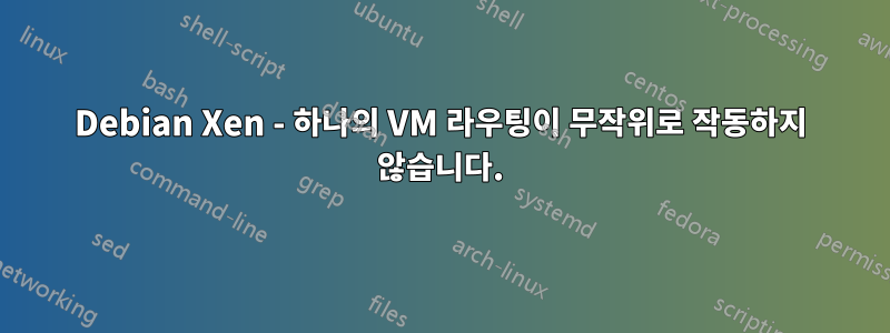 Debian Xen - 하나의 VM 라우팅이 무작위로 작동하지 않습니다.