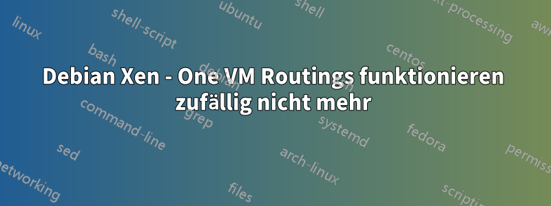 Debian Xen - One VM Routings funktionieren zufällig nicht mehr