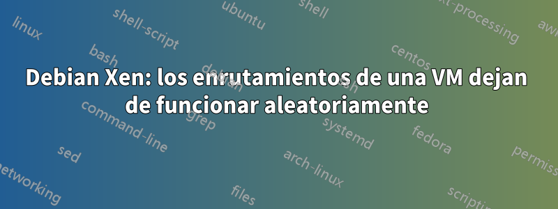Debian Xen: los enrutamientos de una VM dejan de funcionar aleatoriamente