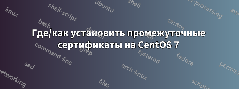 Где/как установить промежуточные сертификаты на CentOS 7