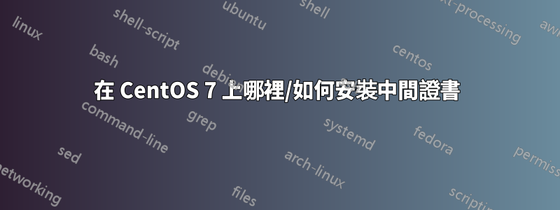 在 CentOS 7 上哪裡/如何安裝中間證書