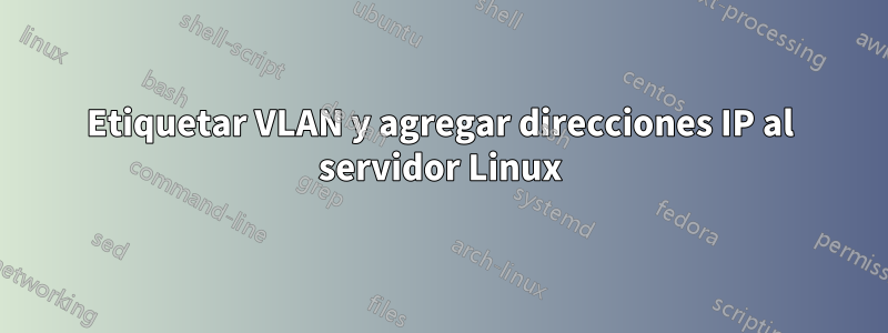 Etiquetar VLAN y agregar direcciones IP al servidor Linux