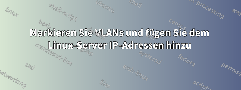 Markieren Sie VLANs und fügen Sie dem Linux-Server IP-Adressen hinzu