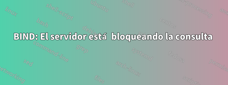 BIND: El servidor está bloqueando la consulta