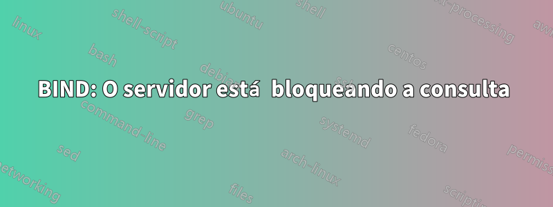 BIND: O servidor está bloqueando a consulta