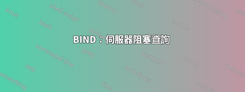 BIND：伺服器阻塞查詢
