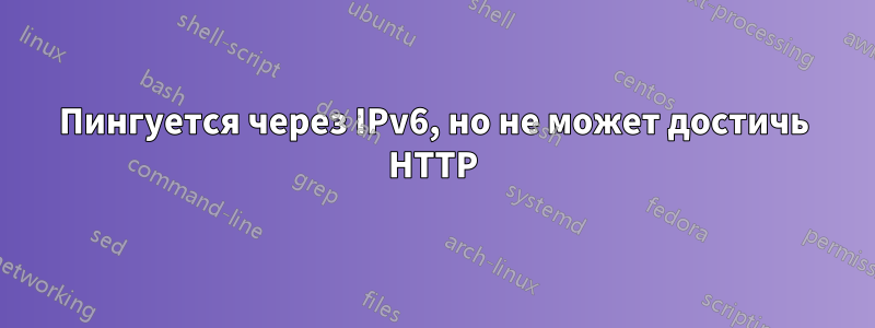 Пингуется через IPv6, но не может достичь HTTP