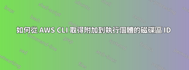 如何從 AWS CLI 取得附加到執行個體的磁碟區 ID