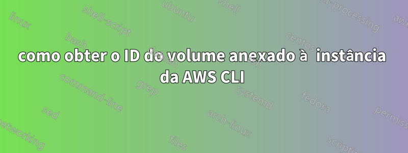 como obter o ID do volume anexado à instância da AWS CLI