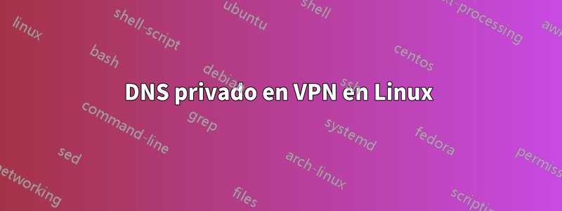 DNS privado en VPN en Linux
