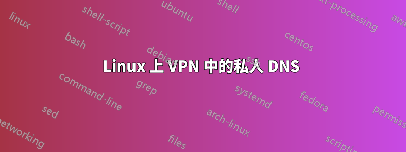 Linux 上 VPN 中的私人 DNS