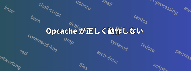 Opcache が正しく動作しない