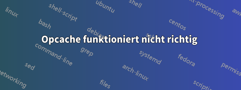 Opcache funktioniert nicht richtig