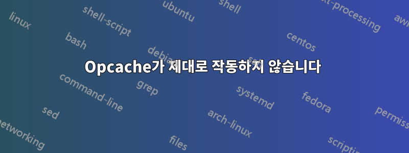 Opcache가 제대로 작동하지 않습니다