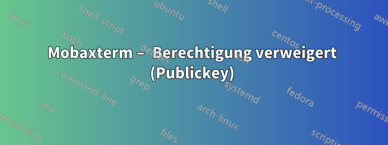 Mobaxterm – Berechtigung verweigert (Publickey)