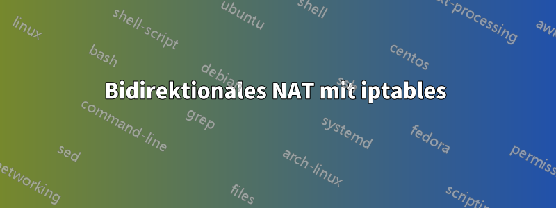 Bidirektionales NAT mit iptables