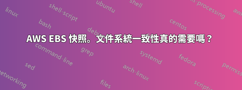 AWS EBS 快照。文件系統一致性真的需要嗎？