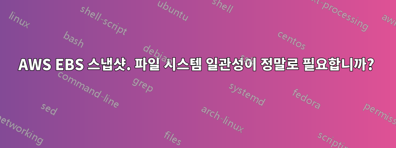 AWS EBS 스냅샷. 파일 시스템 일관성이 정말로 필요합니까?