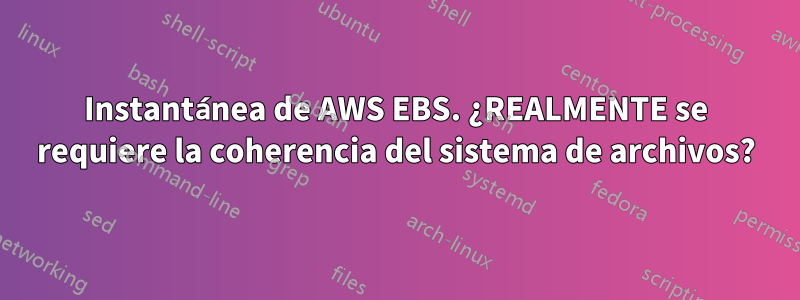 Instantánea de AWS EBS. ¿REALMENTE se requiere la coherencia del sistema de archivos?