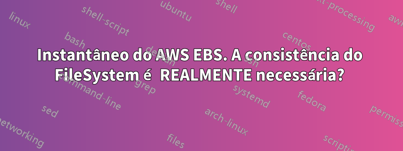 Instantâneo do AWS EBS. A consistência do FileSystem é REALMENTE necessária?