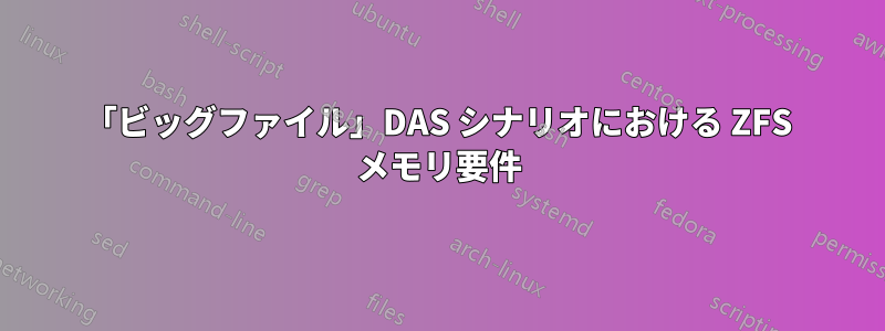 「ビッグファイル」DAS シナリオにおける ZFS メモリ要件