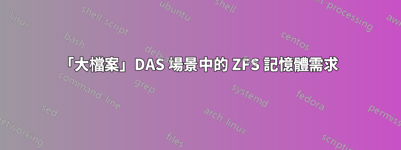 「大檔案」DAS 場景中的 ZFS 記憶體需求