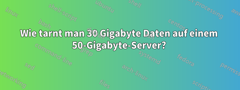 Wie tarnt man 30 Gigabyte Daten auf einem 50-Gigabyte-Server?