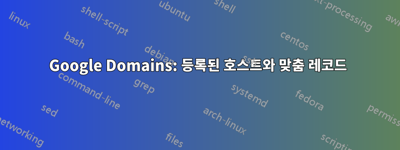 Google Domains: 등록된 호스트와 맞춤 레코드