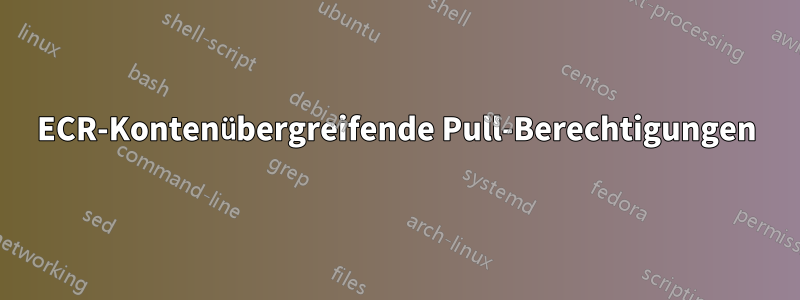 ECR-Kontenübergreifende Pull-Berechtigungen